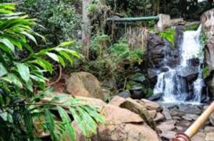 Birding Kenya, Birds Nairobi National Park, Nairobi bird watching, Nairobi birding, Bird watching Kenya