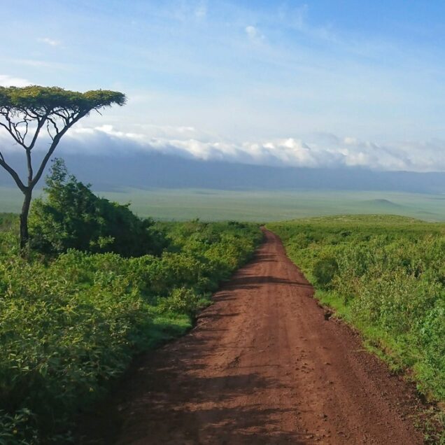 2. Tanzania