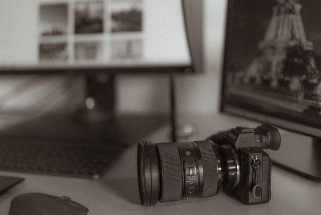 naicef photography Safari