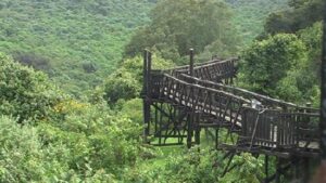 Aberdare national park, Aberdare national park Kenya, the ark Aberdare national park, Aberdare ventures, Aberdare national park animals