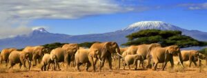 Attractions in Kenya, attraction sites in Kenya, natural attractions in Kenya, tourist attraction sites in Kenya, tourist attractions in Kenya