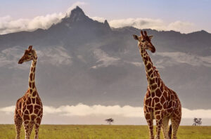 Attractions in Kenya, attraction sites in Kenya, natural attractions in Kenya, tourist attraction sites in Kenya, tourist attractions in Kenya