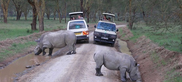 Lake Nakuru, Lake Nakuru National Park, Lake Nakuru Kenya, Lake Nakuru hotels, Lake Nakuru from Nairobi. game drive in Lake Nakuru National Park, gorgeous Lake Naivasha Kenya, boat riding in Naivasha, Hyrax Hill prehistoric site and museum, game drive Kenya