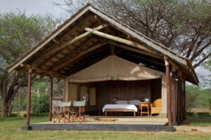 Things To Do, Tourist Attractions & Best Places To Visit In Tana River County • Naicef Tsavo East National Park, Tsavo East National Park Kenay, Tsavo East National Park in Kenya, Tsavo East National Park accommodation, Tsavo East National Park lodges. Best Places To Visit In Makueni County, Makueni Tourist Attractions, Things To Do In Makueni County Kenya,  Places To Stay In Makueni, Hidden Gem In Kenya.best places to visit in Tana River County, things to do in Tana River County, tourist attractions in Tana River County, best time to visit Tana River County, best places to stay in Tana River County