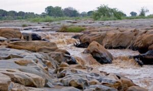 Tsavo East National Park, Tsavo East National Park Kenay, Tsavo East National Park in Kenya, Tsavo East National Park accommodation, Tsavo East National Park lodges