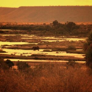 Tsavo East National Park, Tsavo East National Park Kenay, Tsavo East National Park in Kenya, Tsavo East National Park accommodation, Tsavo East National Park lodges