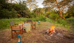 Meru National Park, Meru National Park Kenya, Meru National Park safaris, best time to visit Meru National Park, hotels in Meru National Park 