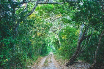 tour mombasa, places to chill in mombasa, beautiful places to visit in mombasa, best places to visit in coast kenya, best places to stay in mombasa kenya. Private Bird Watching in Nairobi, Exclusive Bird Watching Safari Kenya, Luxury Birding Kenya Tour, Personalized Nairobi Birding Experience, Tailored Nairobi Bird Watching Tour