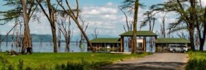 Best airbnb naivasha kenya, airbnb naivasha kenya, airbnb naivasha contacts, one bedroom airbnb naivasha, airbnb naivasha town. 4 Days Lake Nakuru and Lake Naivasha tour, Lake Naivasha and Lake Nakuru, Lake Nakuru and Lake Naivasha, 1 Day Lake Nakuru Safari, Naivasha tour packages. game drive in Lake Nakuru National Park, gorgeous Lake Naivasha Kenya, boat riding in Naivasha, Hyrax Hill prehistoric site and museum, game drive Kenya