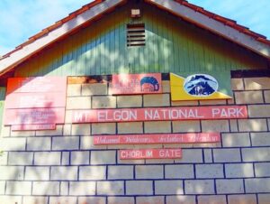 Luxury Mt Elgon Tour Package, Private 5-Day Mt Elgon Tour Package, Exclusive Mt Elgon Camping Experience, Personalised Mt Elgon National Park Trails, Luxury Mt Elgon National Park Tours