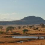 Tsavo west national park, Tsavo west national park location, Tsavo west national park kenya, Tsavo west national park lodges, Tsavo west national park fees