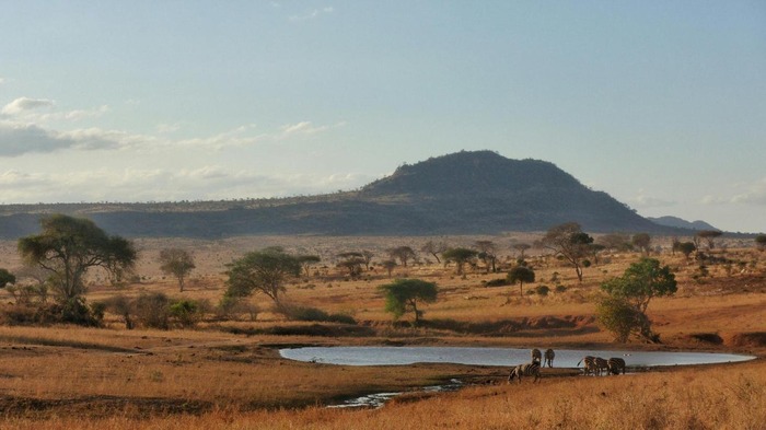 Tsavo west national park, Tsavo west national park location, Tsavo west national park kenya, Tsavo west national park lodges, Tsavo west national park fees