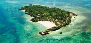 Best Places To Visit, Things To Do & Tourist Attractions In Kwale County • Naicef Watamu Marine Park, Watamu marine national park, Watamu marine national park Kenya, Watamu marine park fees, Watamu marine national park and reserve. Tourist attractions in Kwale county, Best places to visit in Kwale county, Best time to visit Kwale county, Things to do in Kwale county, Accommodations in Kwale county
