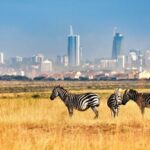 attractions in Nairobi Kenya, what to see in Nairobi Kenya, places to visit in Nairobi Kenya, places to visit in Kenya Nairobi, Nairobi tourist attractions