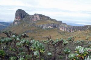 best hiking places in Kenya, hiking trails in Kenya, hiking in Kenya, hiking company in Kenya, best hikes in Kenya