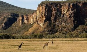 national parks in Kenya, top 10 national parks in kenya, wildlife parks in kenya, national parks in east africa, top national parks in kenya