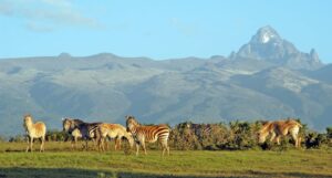 national parks in Kenya, top 10 national parks in kenya, wildlife parks in kenya, national parks in east africa, top national parks in kenya