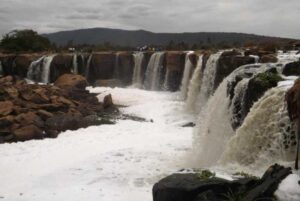 national parks in Kenya, top 10 national parks in kenya, wildlife parks in kenya, national parks in east africa, top national parks in kenya