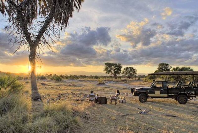 national parks in Kenya, top 10 national parks in kenya, wildlife parks in kenya, national parks in east africa, top national parks in kenya. Bird watching Kenya, Birding in Kenya, Birding tours in Kenya, What is bird watching, How to start bird watching. Wellness travel destinations, top wellness tourism destinations, wellness trip, wellness destinations, wellness travel trend