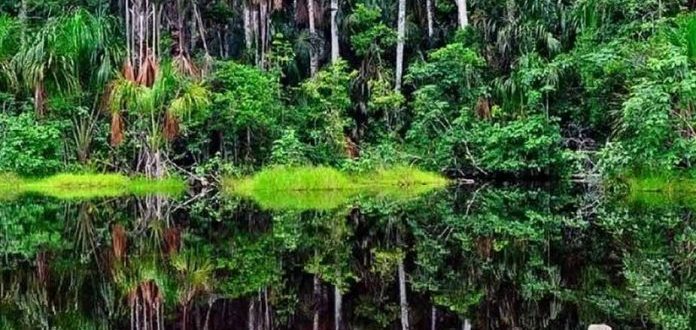 national parks in Kenya, top 10 national parks in kenya, wildlife parks in kenya, national parks in east africa, top national parks in kenya. Best places to visit in Murang'a County, things to do in Murang'a County, tourist attractions in Murang'a County, Best time to visit Murang'a County, accommodations in Murang'a County