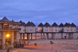 Top 5 Best Places To Visit In Taita Taveta County Guide