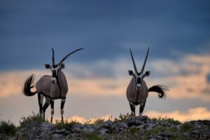 Malka Mari National Park, Malka Mari National Park Kenya, Malka Mari National Park attractions, Malka Mari National Park activities, Malka Mari National Park accommodations