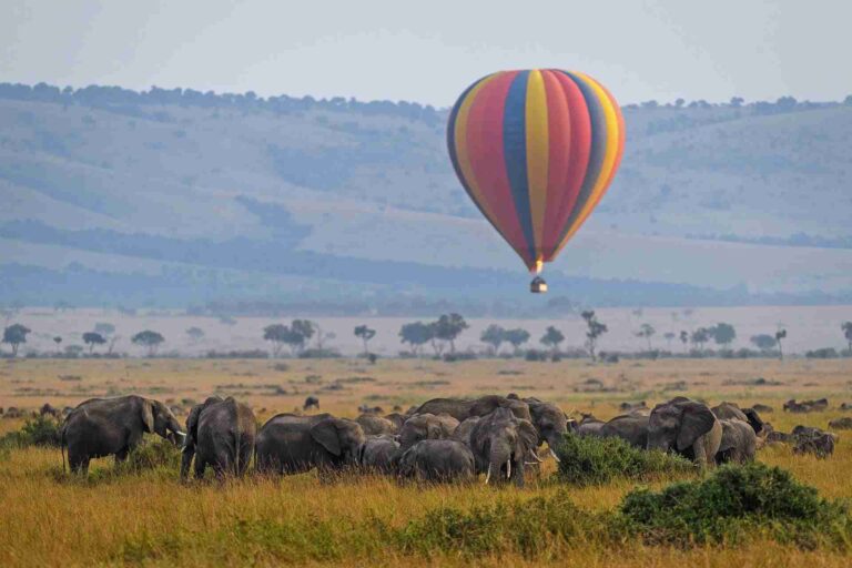 3 Days Ol Kinyei Honeymoon, Nairobi and Ol Kinyei honeymoon itinerary, Nairobi and Ol Kinyei safari, Luxury honeymoon safaris in Kenya, romantic honeymoon in Ol Kinyei. Best Places To Visit in Narok County, Things To Do In Narok County, Best Tourist Attractions in Narok County, Best Places To Stay In Narok County, Best Time To Visit Narok County safari tours in Kenya, best safari packages in Kenya, safari package holidays in Kenya, best safari in Kenya, top 10 best safaris in Kenya. Best things to do in Kenya, Top things to do in Kenya, Best things to do in Nairobi, What to do in Nairobi for a day, Things to do in Kenya other than safari. Places to visit in Kajiado, Getaway places in Kajiado, Hidden gems in Kajiado, Things to do in Kajiado, Places to stay in Kajiado. Masai Mara luxury safari, Luxury safari Kenya Masai Mara, Masai Mara Luxury Safari Kenya, Masai Mara 3 days 2 nights, Masai Mara Luxury lodge