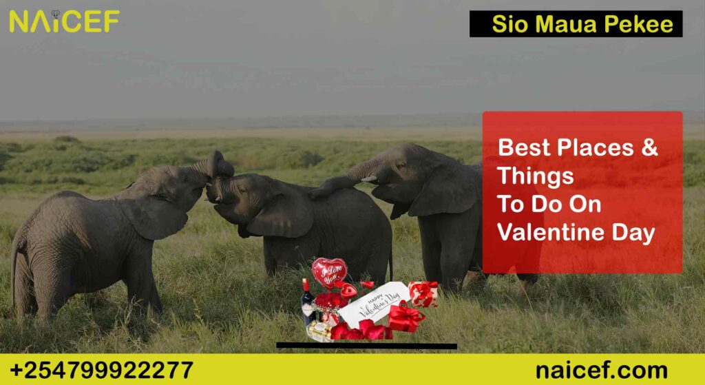 Best Places & Things To Do on Valentines Day +254799922277