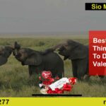 Things to do on Valentines Day in Nairobi Kenya, Things to do on Valentines Day, Valentine in Nairobi, Best places for Valentine in Kenya, Valentine gifts in Nairobi Kenya