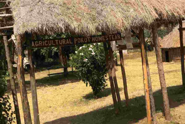 3 days Western Kenya cultural tour package,, Kenya cultures and traditions, Luo tribe, Luhya culture, Pokot culture Best Cultural safari packages in Kenya, Best cultural safaris in Kenya, cultural activities in Kenya, Best cultural tours in Kenya, cultural safari tours in Kenya