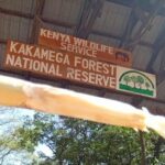 Kakamega Forest National Reserve, Kakamega Forest accommodation, Kakamega Forest activities, Kakamega Forest National Reserve Charges, Kakamega Forest National Reserve attractions