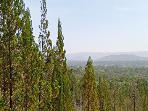 things to do in Nyanza, places to visit in West Nyanza, tourist attractions in Nyanza, Destinations in Nyanza, Places to stay in Nyanza.places to visit in Kakamega, things to do in Kakamega, tourist attractions in Kakamega, best hotels in Kakamega, best time to visit Kakamega