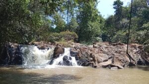 Kakamega Forest National Reserve, Kakamega Forest accommodation, Kakamega Forest activities, Kakamega Forest National Reserve Charges, Kakamega Forest National Reserve attractions