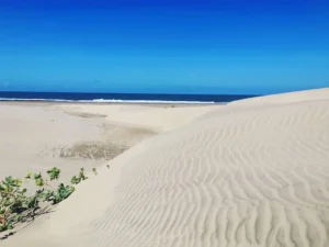 Mambrui sand dunes, Mambrui Malindi, Mambrui beach, Mambrui Sand dunes direction, Mambrui sand dunes activities. 3 Days Mambrui Sand Dunes Package, Vasco Da Gama Pillar, Mida Creek Kenya, Gede Ruins, Malindi Marine Park