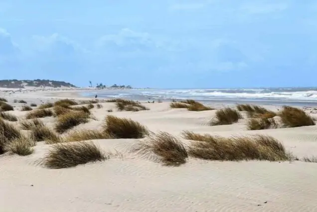 Mambrui sand dunes, Mambrui Malindi, Mambrui beach, Mambrui Sand dunes direction, Mambrui sand dunes activities. 3 Days Mambrui Sand Dunes Package, Vasco Da Gama Pillar, Mida Creek Kenya, Gede Ruins, Malindi Marine Park.Best places to visit in Kenya, Best Tourists attractions in Kenya, Kenya Safari destinations, Kenya travel destinations, Kenya safari places