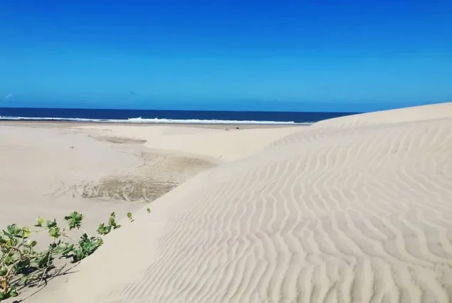 Mambrui sand dunes, Mambrui Malindi, Mambrui beach, Mambrui Sand dunes direction, Mambrui sand dunes activities. 3 Days Mambrui Sand Dunes Package, Vasco Da Gama Pillar, Mida Creek Kenya, Gede Ruins, Malindi Marine Park.Best places to visit in Kenya, Best Tourists attractions in Kenya, Kenya Safari destinations, Kenya travel destinations, Kenya safari places