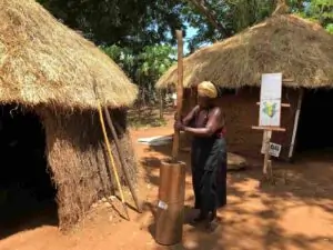 Mombasa 3 day package cultural tour, Mombasa culture, Mombasa festival, Swahili culture Mombasa, 3 days Mombasa itinerary. Mombasa 5 days cultural package, Mombasa itinerary, Cultural restaurant Mombasa, Mombasa international cultural festival, Cultural centres in Mombasa