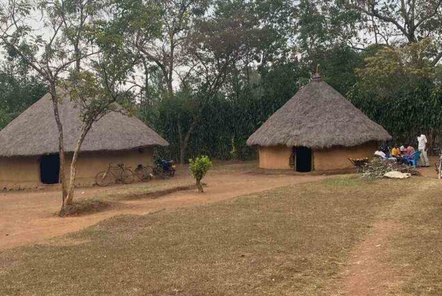 Nabongo Mumia Cultural Centre, Nabongo Mumia, Nabongo cultural centre, Nabongo Mumia history, Busaa drinking. Best Places to visit in Migori County, Things to do in Migori Kenya, Tourist attractions in Migori county, Best places to stay in Migori County, Best time to visit Migori County. Best Places to Visit in Siaya County, Things to do in Siaya Kenya, Tourist attractions in Siaya County, Best places to stay in Siaya County, Best time to visit Siaya County. places to visit in Kakamega, things to do in Kakamega, tourist attractions in Kakamega, best hotels in Kakamega, best time to visit Kakamega