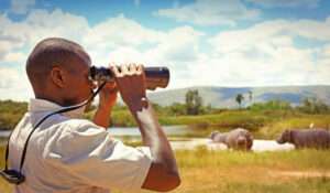 Bird watching Kenya, Birding in Kenya, Birding tours in Kenya, What is bird watching, How to start bird watching