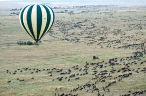 Eco-tourism practices, Eco-friendly practices for eco-tourism, eco-friendly tourism practices, eco-friendly hotel ideas, Eco tour companies