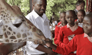 Top 8 Best Places To Tour In Mombasa • Naicef school field trips field trips Staff team building Academic tours school tours to Nairobi Kenya.the best places to travel in Mombasa, Best destinations in Mombasa, Best attractions in Mombasa, and Attraction sites in Mombasa.