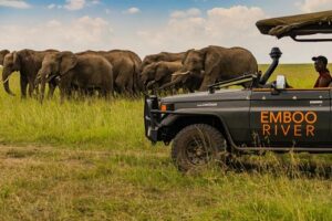 ecotourism destinations in Kenya eco tourism in Kenya Kenya eco tourism eco tourism in Africa ecotourism activities in Kenya