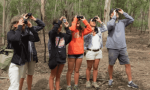 Best Time To Visit Safaris In Kenya | Wildlife, Luxury, Family 2025 Guide • Naicef Bird watching Kenya, Birding in Kenya, Birding tours in Kenya, What is bird watching, How to start bird watching.Best time to visit Kenya safari, Best time to visit Kenya on safari, Kenya wildlife safari best time to visit, Best time of year to visit Kenya for safari, Best time to visit Kenya for safari