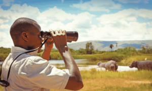 ecotourism destinations in Kenya eco tourism in Kenya Kenya eco tourism eco tourism in Africa ecotourism activities in Kenya 