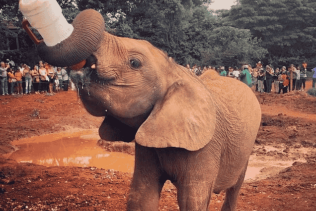 Nairobi day tours, Best Nairobi tours, Nairobi Tours, nairobi travel packages, Full day Nairobi city tour