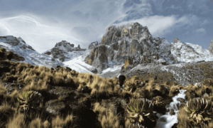 Wellness travel destinations, top wellness tourism destinations, wellness trip, wellness destinations, wellness travel trend. Best places to visit in Kenya, Best Tourists attractions in Kenya, Kenya Safari destinations, Kenya travel destinations, Kenya safari places