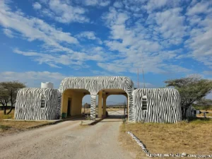 Buffalo Springs National Reserve 2025 Guide- Naicef +254799922277 • Naicef Buffalo Springs National Reserve, Buffalo Springs National Reserve Kenya, Buffalo Springs Trail, Samburu Buffalo Springs National Reserve, Buffalo Springs National Reserve Fees