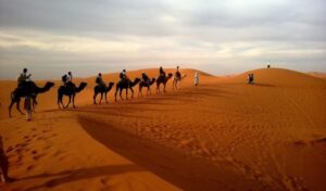 Chalbi Desert package, 2 days Chalbi Desert safaris, Chalbi Desert tours, Chalbi Desert experiences, Chalbi Desert package price. Best Places to Visit in Wajir, Best Things to Do in Wajir, Best Tourist Attractions in Wajir Kenya, Best Time to Visit Wajir, Accommodation in Wajir. Places to visit in Marsabit, Marsabit County tourist attractions, Things to do in Marsabit, Best places to stay in Marsabit County, Where is Marsabit located in Kenya
