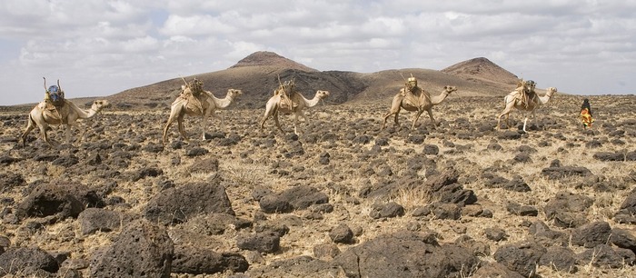 Chalbi desert, Chalbi desert safari, Chalbi Desert Kenya activities, Best time to visit Chalbi Desert, Chalbi desert tour. Best places to visit in Mandera County, things to do in Mandera, best tourist attractions in Mandera County, Best Places To Stay In Mandera county, best time to visit Mandera. Best Places to Visit in Wajir, Best Things to Do in Wajir, Best Tourist Attractions in Wajir Kenya, Best Time to Visit Wajir, Accommodation in Wajir