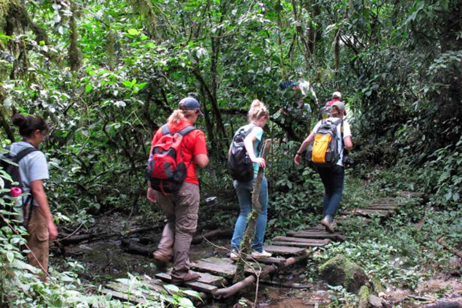 Forest Challenges, Forest Challenge activities, Where to go for forest challenge, Forest challenge history, Interesting facts about forest challenge. Forest Challenge package, The Forest Challenge, The Forest packages, The Forest Challenge run, The Forest Charges